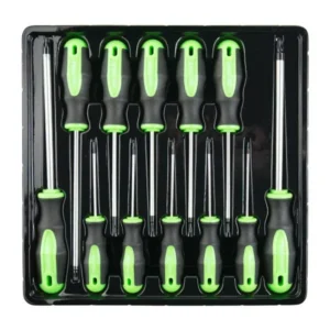 12BUC SET DE SURUBELNITE FORJATE TORX DS1051